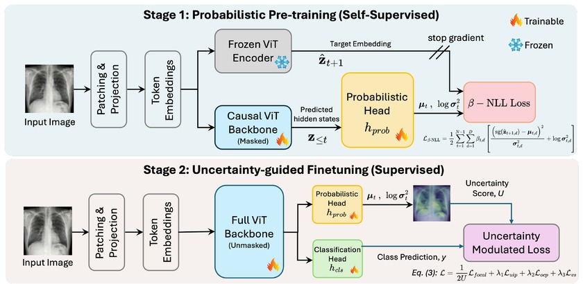 PACL overview: probabilistic pre-training then uncertainty-guided fine-tuning